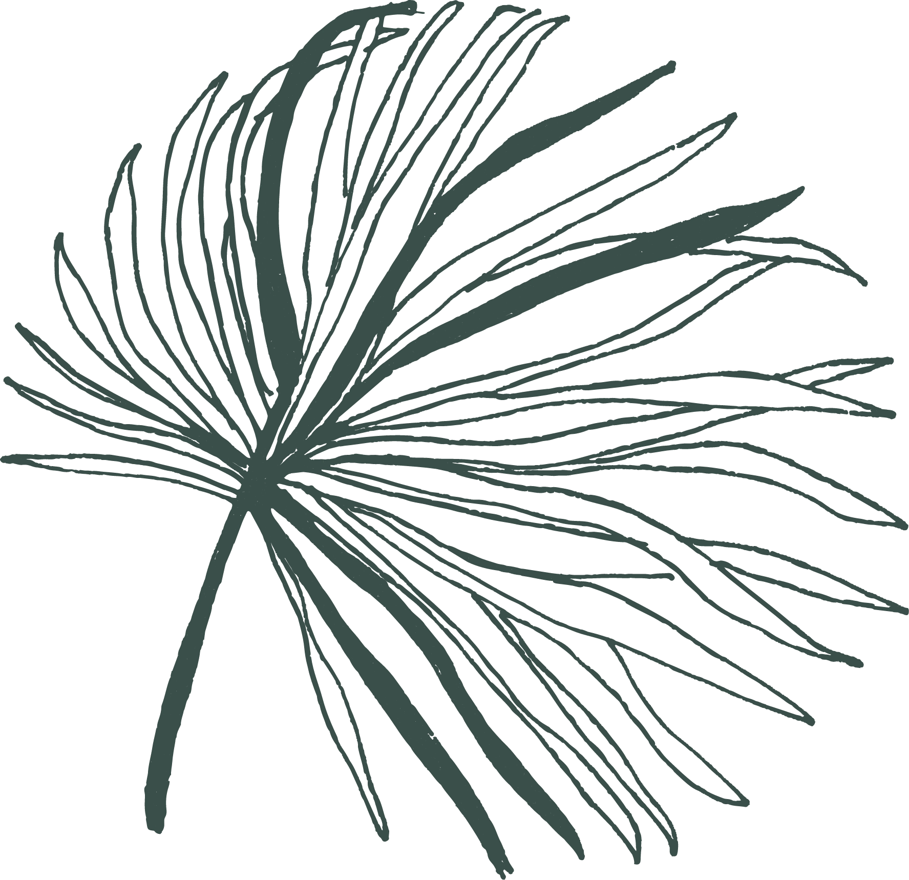 plant graphics 2@2x